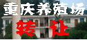 ��Ӫ��Ʒ: ����ϵ��10���� ը��ϵ��10���� ����10�� ����(�°¶���,����,��֭,��Ȼ) ���� ����� ��̢ ���� �̲� ��֭ ���� ɳ�� ������``````��    ��:˫���������ů��(���±�ʪ) ˫��˫ɸ��ը¯ ���׵�ը¯ ƽ��¯ ��h¯ �ȹ��� �տ�� ``````�ṩ��ԭ�Ͻ�������