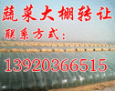 ת�ñ��⣺�߲˴������ת��
 �� ϵ �ˣ�������
 ��ϵ��ַ�������
 �����ʼ���toyota28546@163.com
 QQ���룺54834091
 ת�ü۸�120��
 �������ڣ�2008-9-28
 ��ϵ�绰��13920366515
 ��ɽ��ͤ���ů�ҡ������߲˻���60Ķ����Ҫ��ֲԽ���ƹϣ��������Լ���ϣ�������ʩ��ȫ�����������С�����ת��120����ʵ�������ţ�
